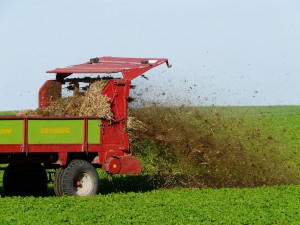 fertilize-62416_1280